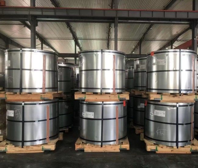 Coil elettrolitico / latta per lattina per la fabbricazione di piastre di latta prime per lattina di bevande