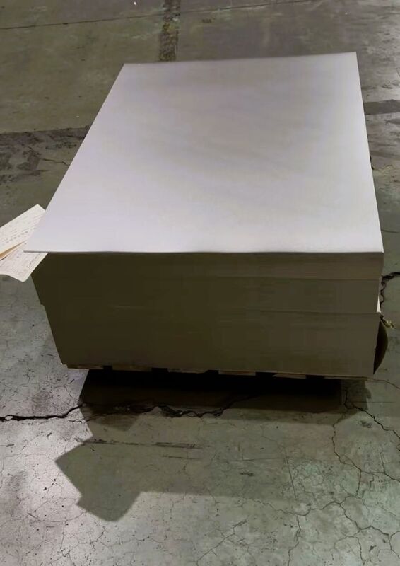 Premium Electrolytic Tin Plate (ETP) for Food Can Ends & Lids - Alkali & Rust Resistente