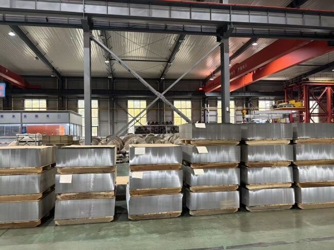 Piastra stagnata elettrolitica (SPTE) con finitura opaca negli stati T4CA e T5CA per imballaggi premium